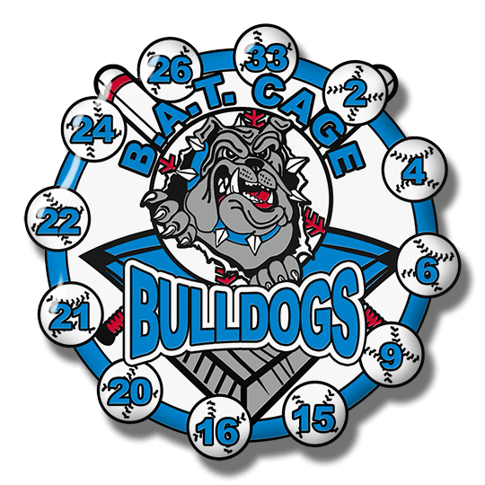 bulldogs baseball pin